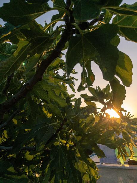 Chaque départ est un cri