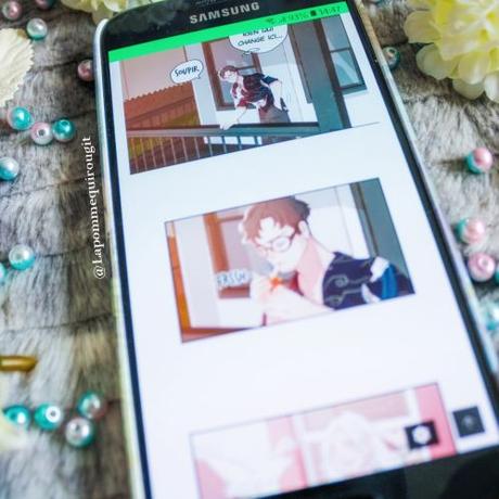 Seagull • Tsubo Seagull • Tsubo