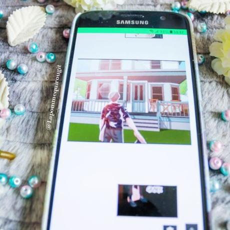 Seagull • Tsubo Seagull • Tsubo