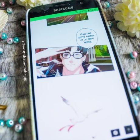 Seagull • Tsubo Seagull • Tsubo