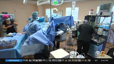 Une nouvelle technologie ADN pour aider à identifier les restes des victimes du 11 septembre – Dernières nouvelles, sports, météo, trafic et le meilleur de NY Une nouvelle technologie ADN pour aider à identifier les restes des victimes du 11 septembre – Dernières nouvelles, sports, météo, trafic et le meilleur de NY