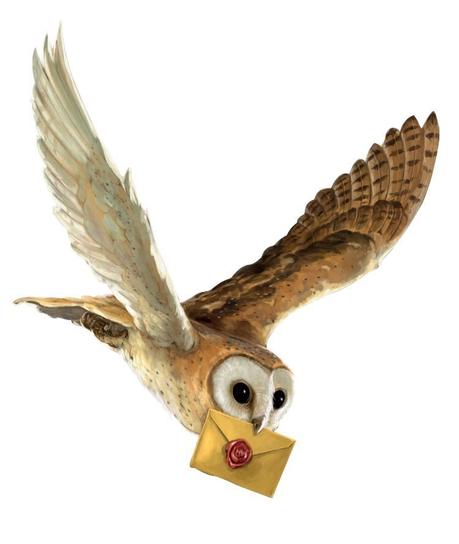 Challenge littéraire HP : La coupe des 4 maisons démarre le 1er septembre