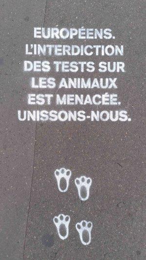 The Body Shop, Dove, PETA et d’autres lancent une ICE The Body Shop, Dove, PETA et d’autres lancent une ICE