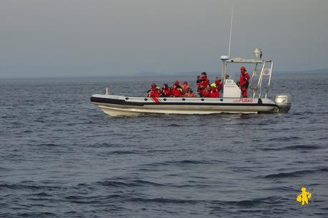 Itinéraire Québec et Gaspésie: bilan Itinéraire Québec et Gaspésie: bilan