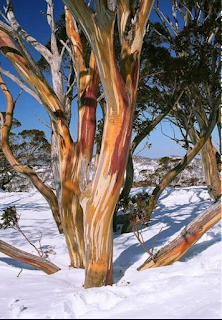 Un premier tour du monde, 48e partie