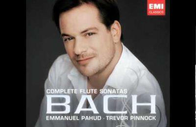 Sonate en mi mineur  Bwv 1034