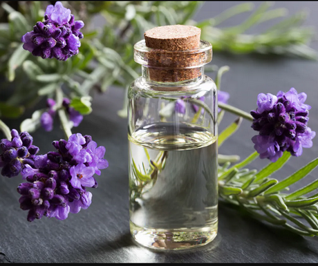 L’huile essentielle