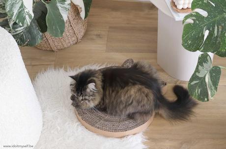 DIY griffoir chat