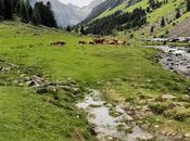 C’était l’été