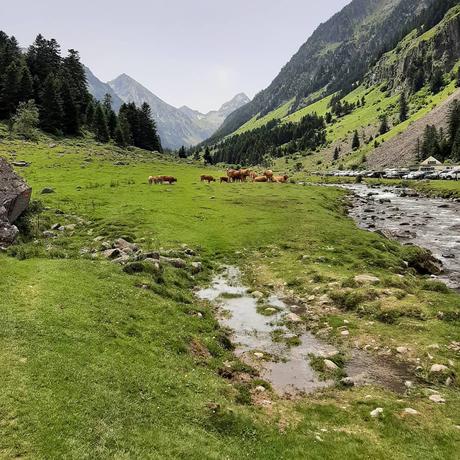 C’était l’été