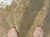 Projet 52-2021 (Se) Rafraîchir