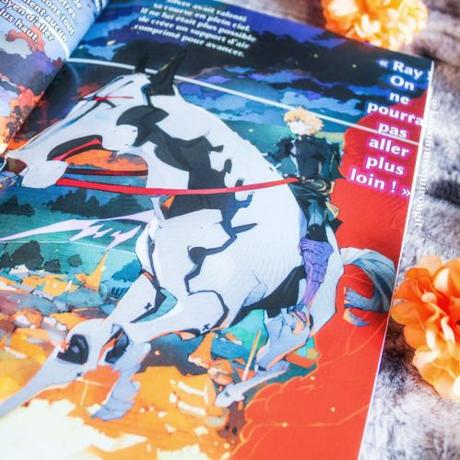 Infinite dendrogram, tome 6 et 7 • Taiki et Kaido Sakon Infinite dendrogram, tome 6 et 7 • Taiki et Kaido Sakon