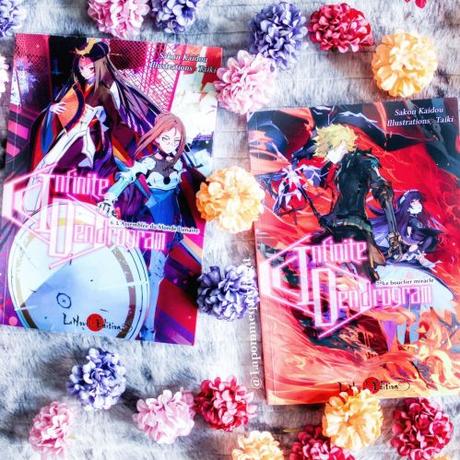 Infinite dendrogram, tome 6 et 7 • Taiki et Kaido Sakon