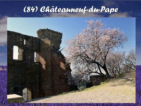 La France - La Provence 3