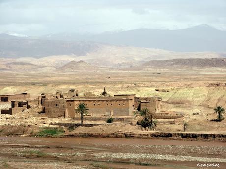 Voyage au Maroc - Kasbah de Traourirt et coopérative d'huile d'argan à Assaisse