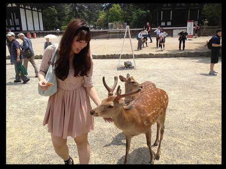 Pays Etranger - Nara au Japon