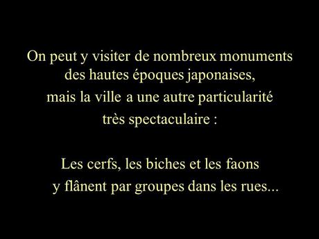 Pays Etranger - Nara au Japon