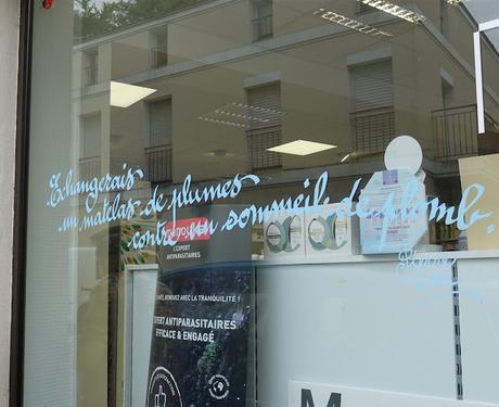 le long du fleuve qui remonte