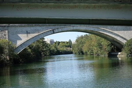 le long du fleuve qui remonte