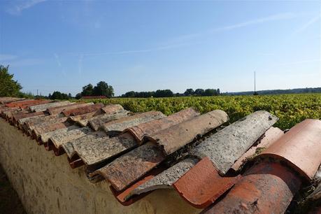 le long du fleuve qui remonte