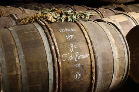 le long du fleuve qui remonte