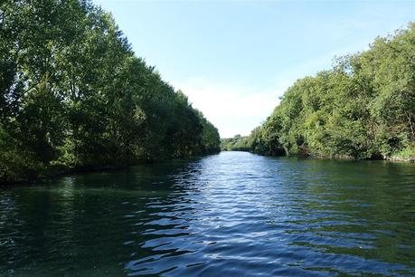 le long du fleuve qui remonte