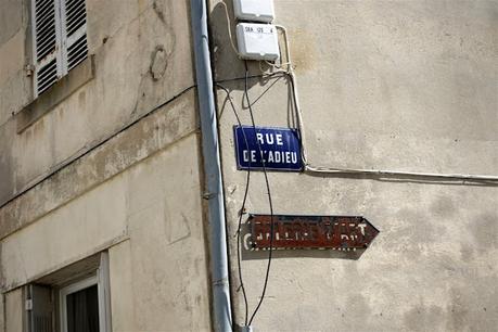 le long du fleuve qui remonte