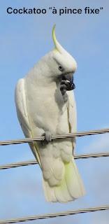 Un premier tour du monde, 50e partie