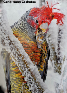 Un premier tour du monde, 50e partie