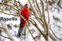 Un premier tour du monde, 50e partie