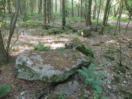 Grande pierre sarsen à West Woods dans le Wiltshire