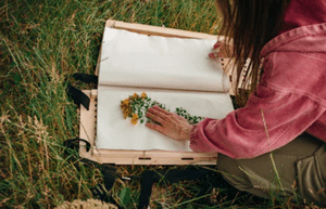 Conseils pour créer un cadre pour herbier Conseils pour créer un cadre pour herbier