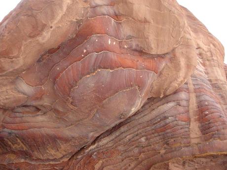 Pays Etranger - La Jordanie (la suite)