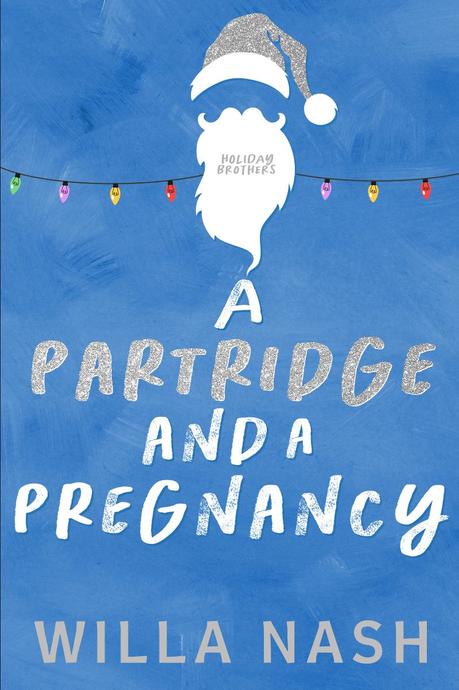 A vos agendas : Découvrez 3 novellas de Noël de Willa Nash A vos agendas : Découvrez 3 novellas de Noël de Willa Nash