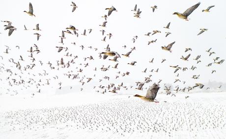 Les plus beaux clichés aériens des Drone Photo Awards 2021