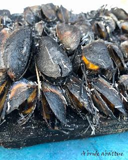 Comment faire une églade en sécurité