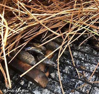 Comment faire une églade en sécurité