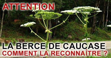 Divers Marcheurs Randonneurs "Prudence"