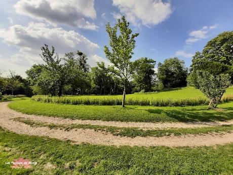 20210831_161950_copy_700x526  BIS