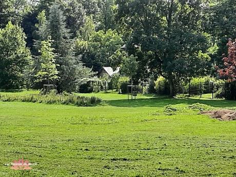 20210831_162349_copy_700x526  BIS