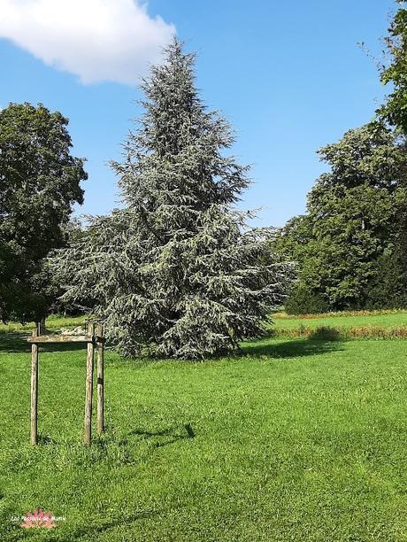 20210831_165338_copy_526x700  BIS