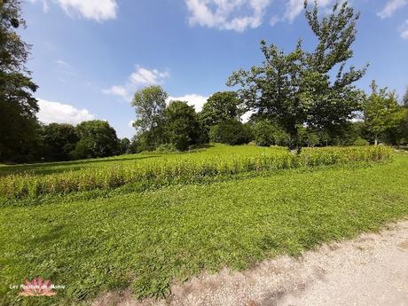 20210831_161858_copy_700x526  BIS