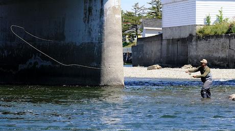 Pêcheur sur la Matane… et sa mouche.