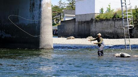 Pêcheur sur la Matane… et sa mouche.