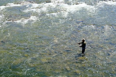 Pêcheur sur la Matane… et sa mouche.