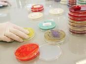 MICROBIOTE confisque, transforme détourne médicaments