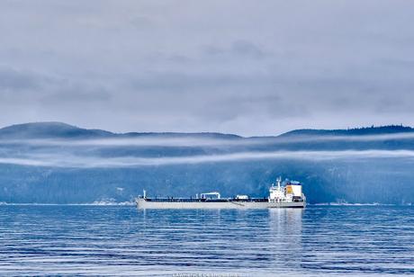 Quatre photographies de l’Acadian à l’ancre dans la brume, filtre dynamique… prises à main levée avec un boîtier Fujifilm XT-4 jumelé à un objectif 100-400mm Fujinon. #Photographie #BaieComeau