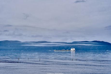 Quatre photographies de l’Acadian à l’ancre dans la brume, filtre dynamique… prises à main levée avec un boîtier Fujifilm XT-4 jumelé à un objectif 100-400mm Fujinon. #Photographie #BaieComeau