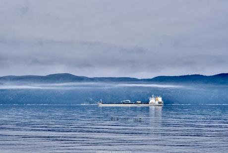 Quatre photographies de l’Acadian à l’ancre dans la brume, filtre dynamique… prises à main levée avec un boîtier Fujifilm XT-4 jumelé à un objectif 100-400mm Fujinon. #Photographie #BaieComeau