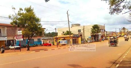 Cameroun : Les populations de Bertoua affrontent la rudesse du climat